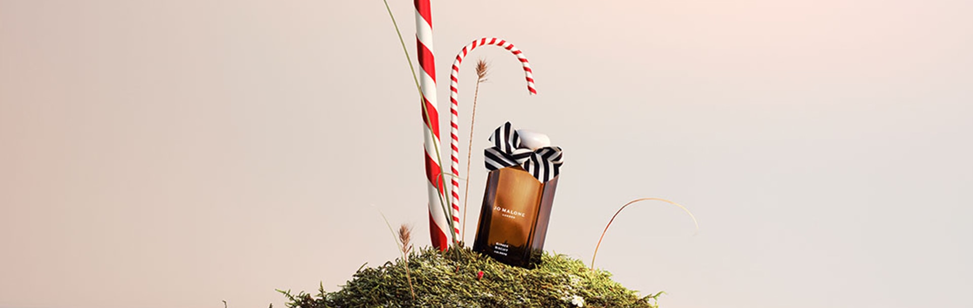 Jo Malone London Ginger Biscuit Collection Candle Cologne on a bed of moss with black and white bows